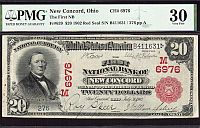 New Concord, Ohio, Ch.#6976, FNB of New Concord, 1902RS $20 PMG-30